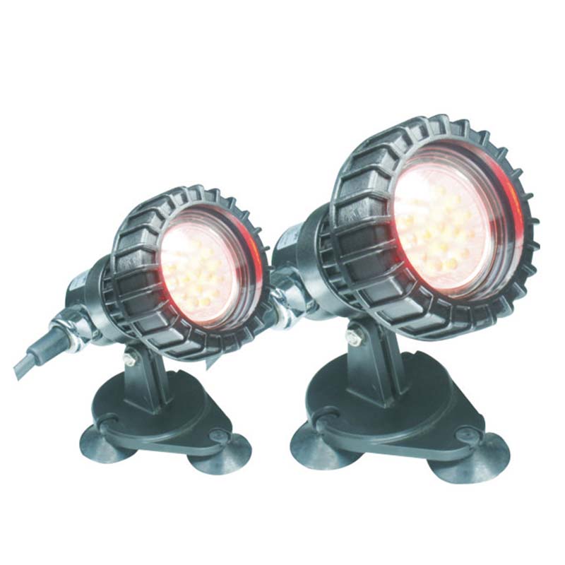 Риба над подземно езерце Потопяема светлина